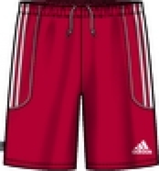 Adidas Squadra II Short in 11 Farben mit Innenslip M-XXL