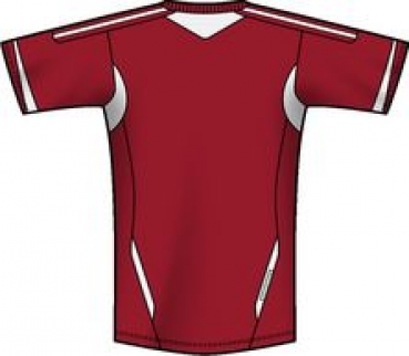 Adidas Campeon 11 Trikot kurzarm in 4 Farben Gr. S-XXL